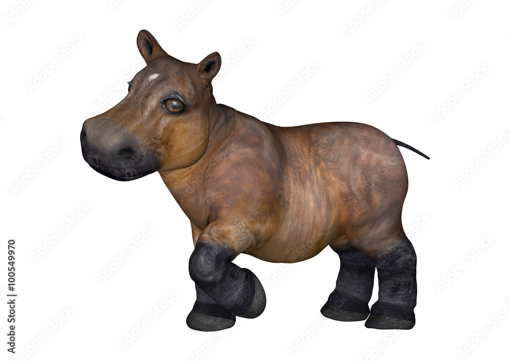 Fototapeta premium Little Hippo on White