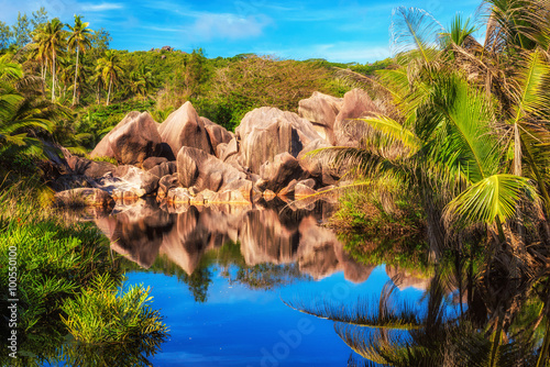 Rocks and palms reflected in tropical lake in jungle, La Digue island in Seychelles