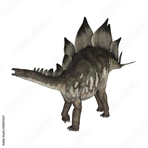 Dinosaur Stegosaurus