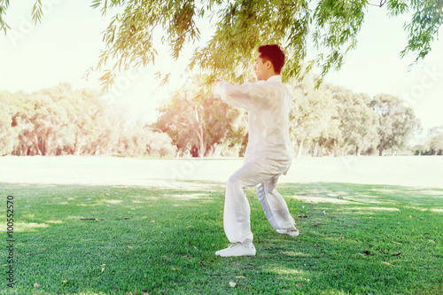 Handsome man practicing thai chi