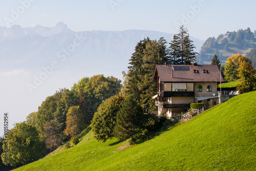 Quiet life on the slopes of the Alps