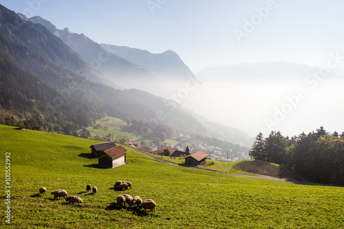 Quiet life on the slopes of the Alps