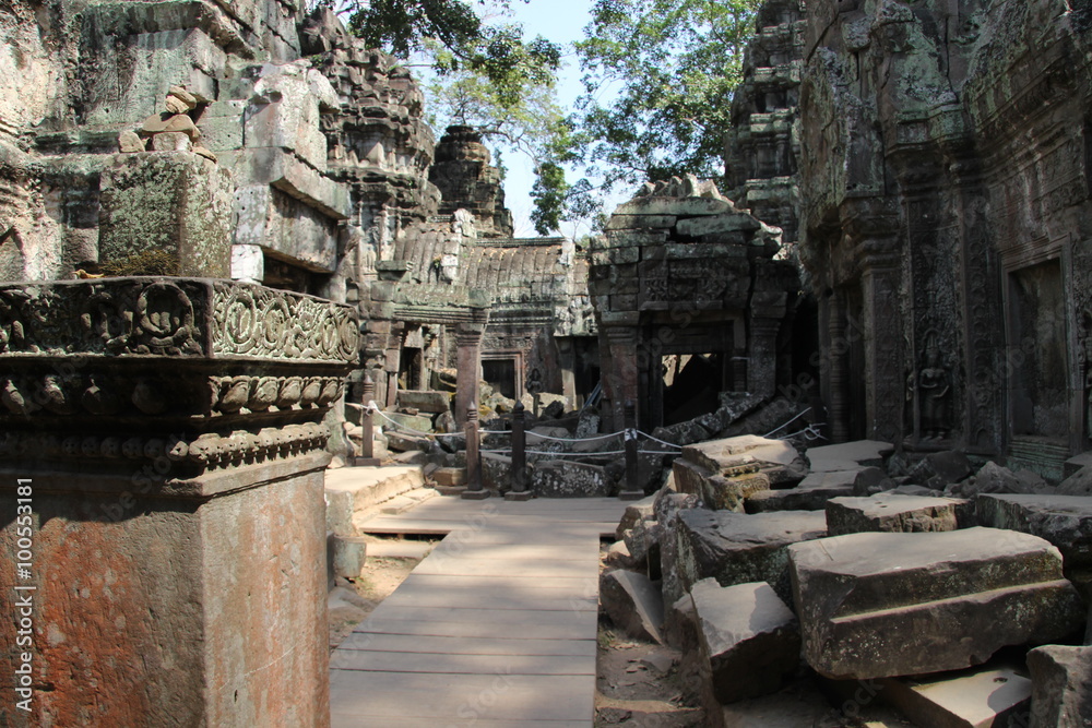 Ta Prohm / Angkor Wat in Kambodscha