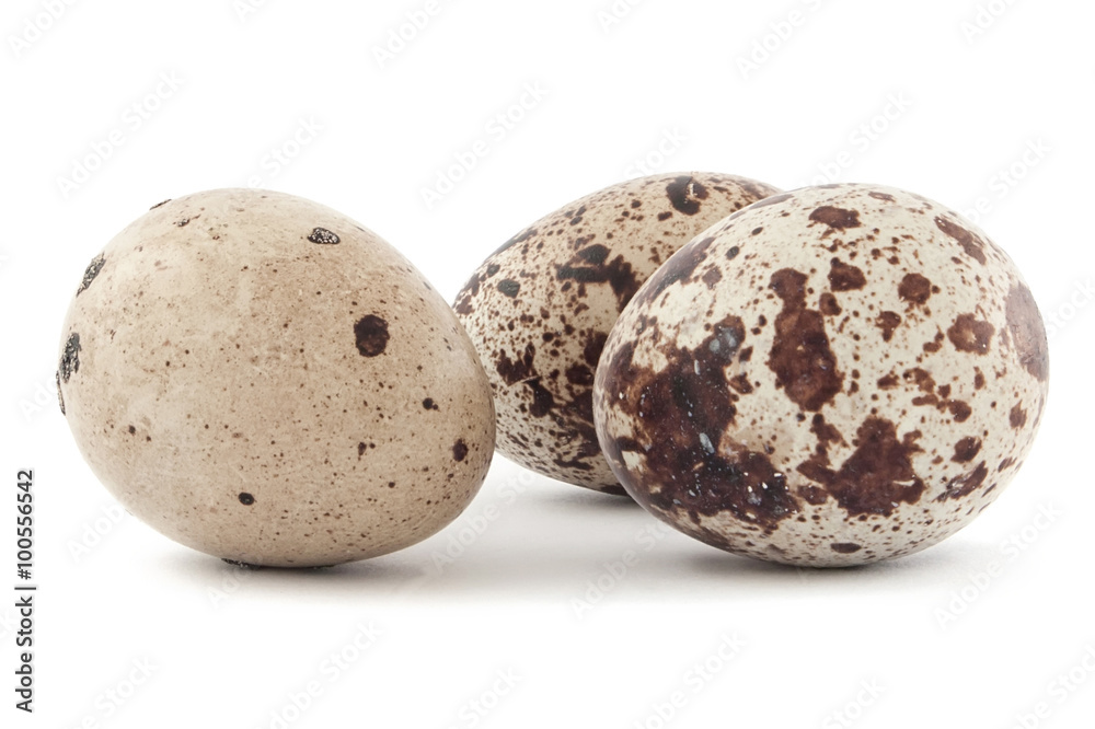 quail eggs isolated on white background quail eggs isolated on white background