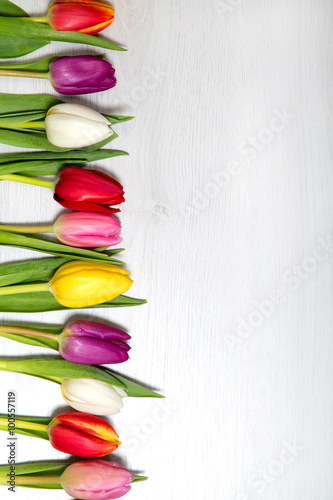 Fototapeta Naklejka Na Ścianę i Meble -  Tulpen