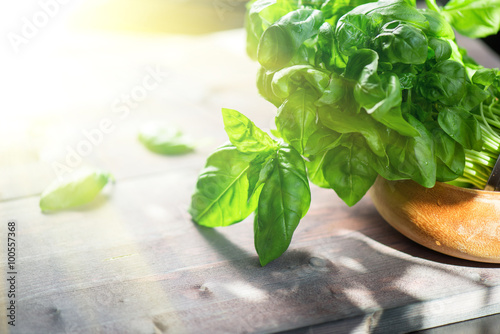Fresh organic basil