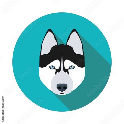 flat icons dog husky