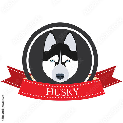 flat icon husky 