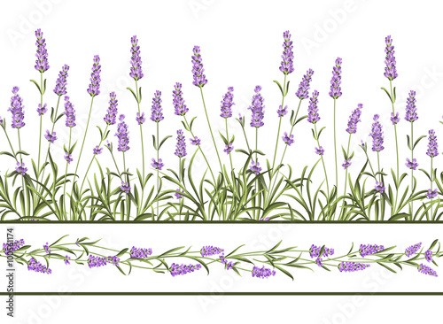 The Lavender Seamless frame line. © Kotkoa