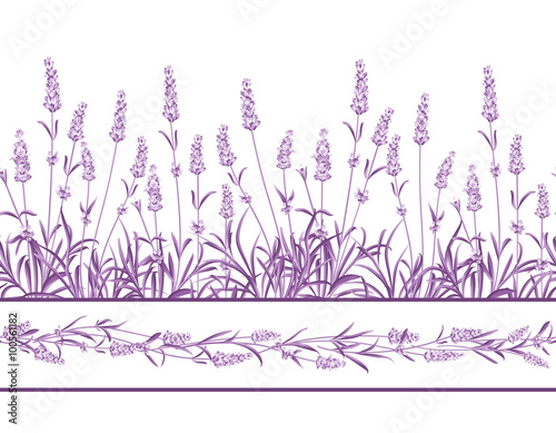 The Lavender Seamless frame line.