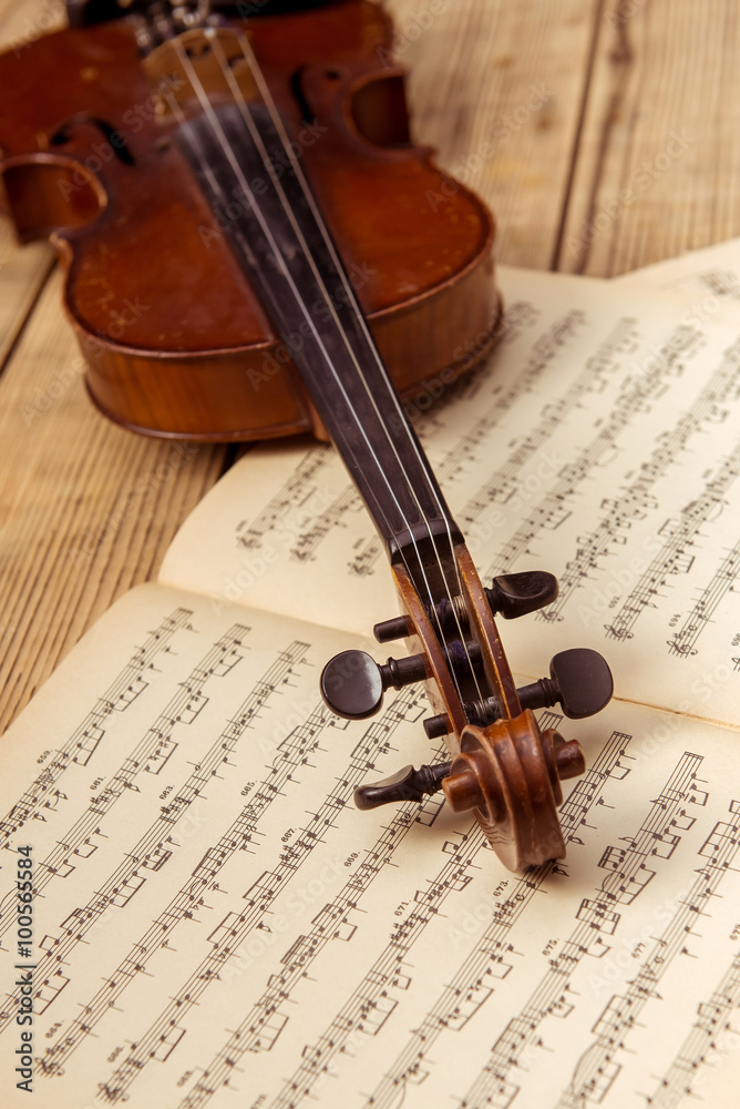 Fototapeta premium Music instrument violin