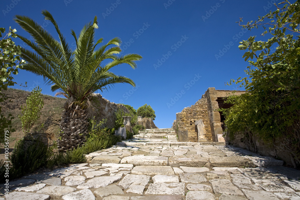 Tunisia. Ancient Carthage. Quarter of the Roman villas