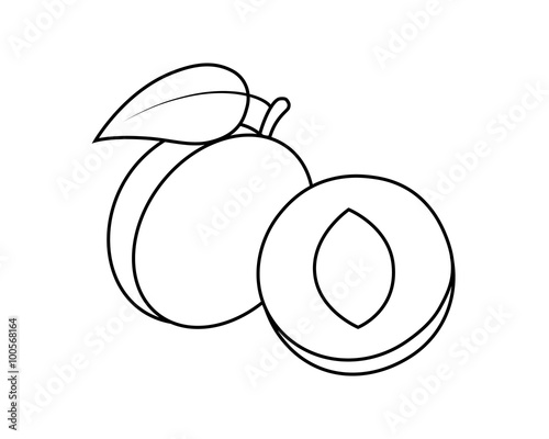 Line icon fruit apricot with leaf. Vector illustration.