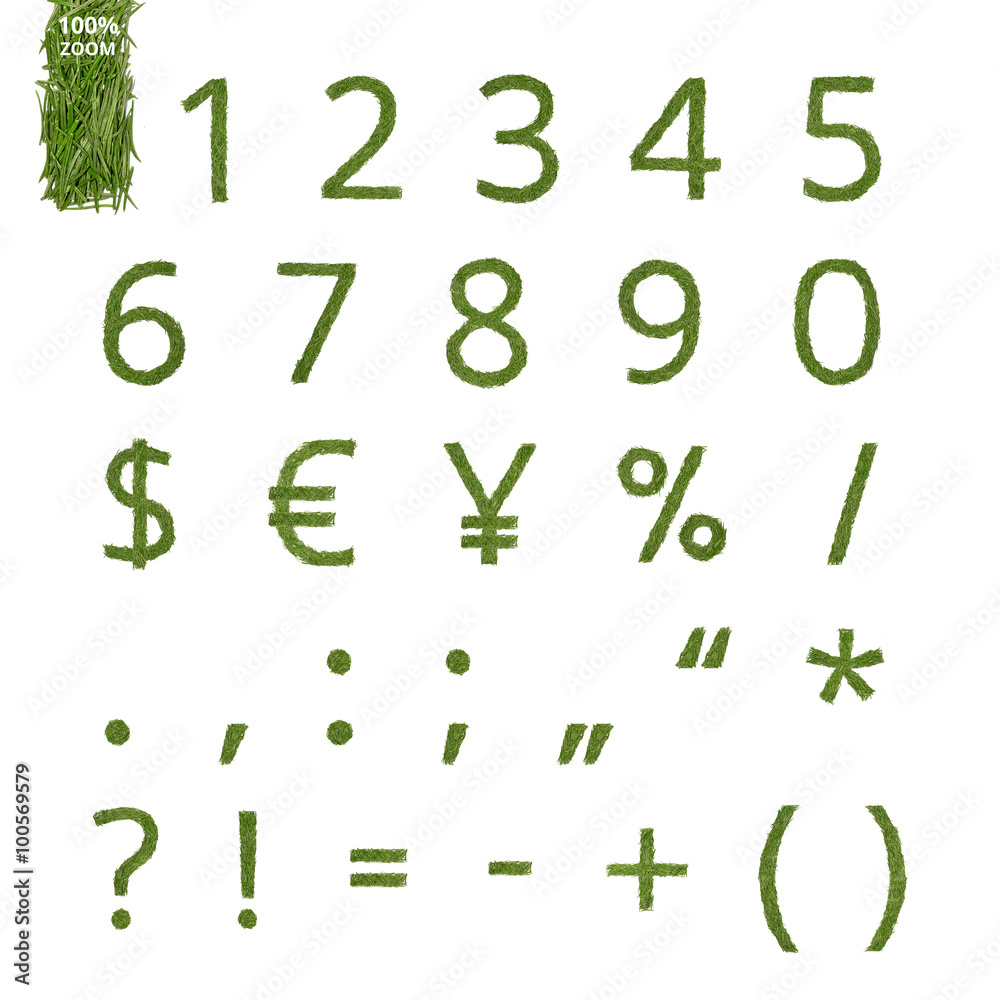 Pine needle numbers and marks