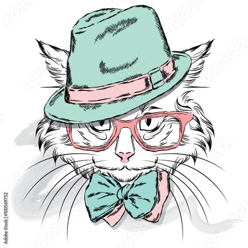 Cat vector. Cartoon cat. Cute cat in the clothes. Hip-hop. Cat in a cap and glasses. Hipster. Postcard with the cat.