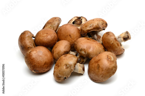 Baby bella mushroom on a white background