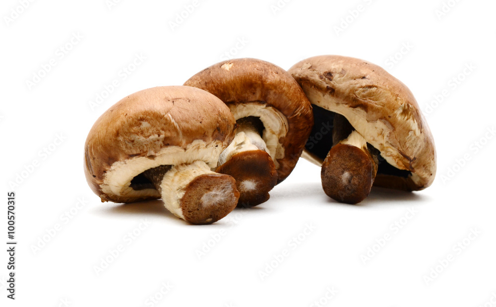 Fototapeta premium Baby bella mushroom on a white background