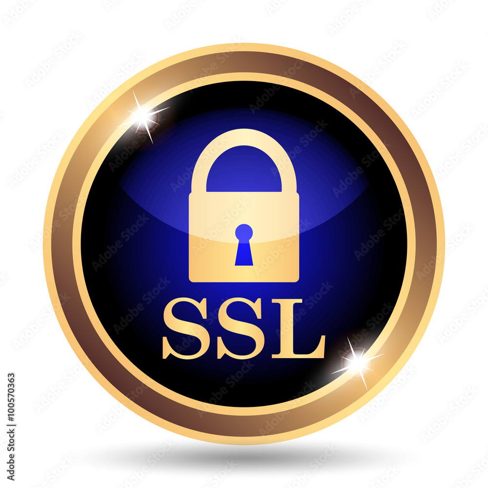 SSL icon