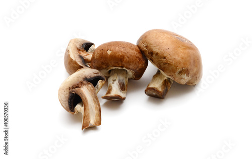 Baby bella mushroom on a white background