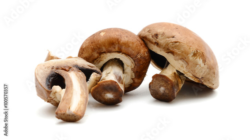 Baby bella mushroom on a white background