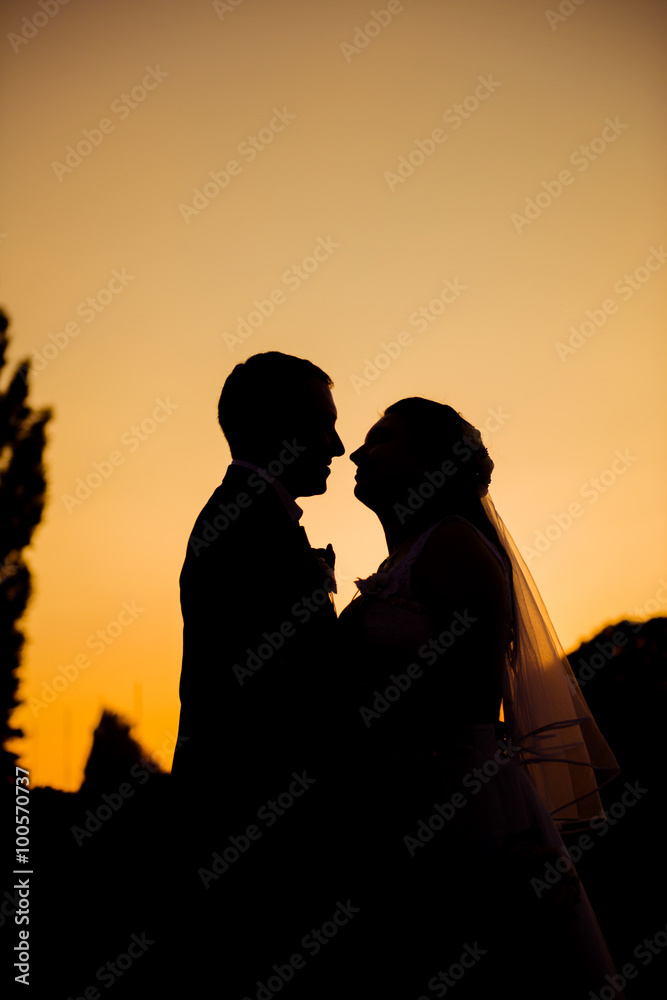Silhouette of newlyweds kissing at sunset