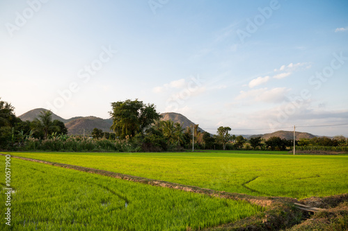 Panorama in Vietnam