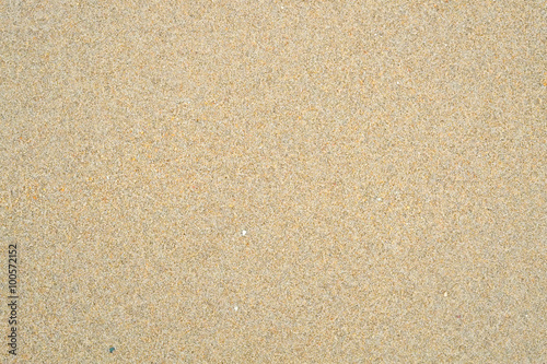 Sandy beach texture / Sandy beach texture, use as background.
