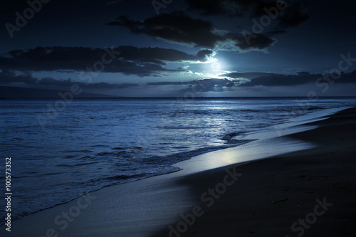 Obraz na płótnie Ta ilustracja przedstawia cichą i romantyczną, oświetloną księżycem plażę w Maui na Hawajach