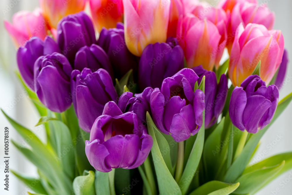 Obraz premium Beautiful pink and purple tulips. A bouquet of flowers for March 8, or Valentine's day