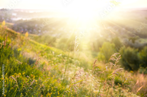 Beautiful rural landscape with sunrise over a meadow. Soft focus