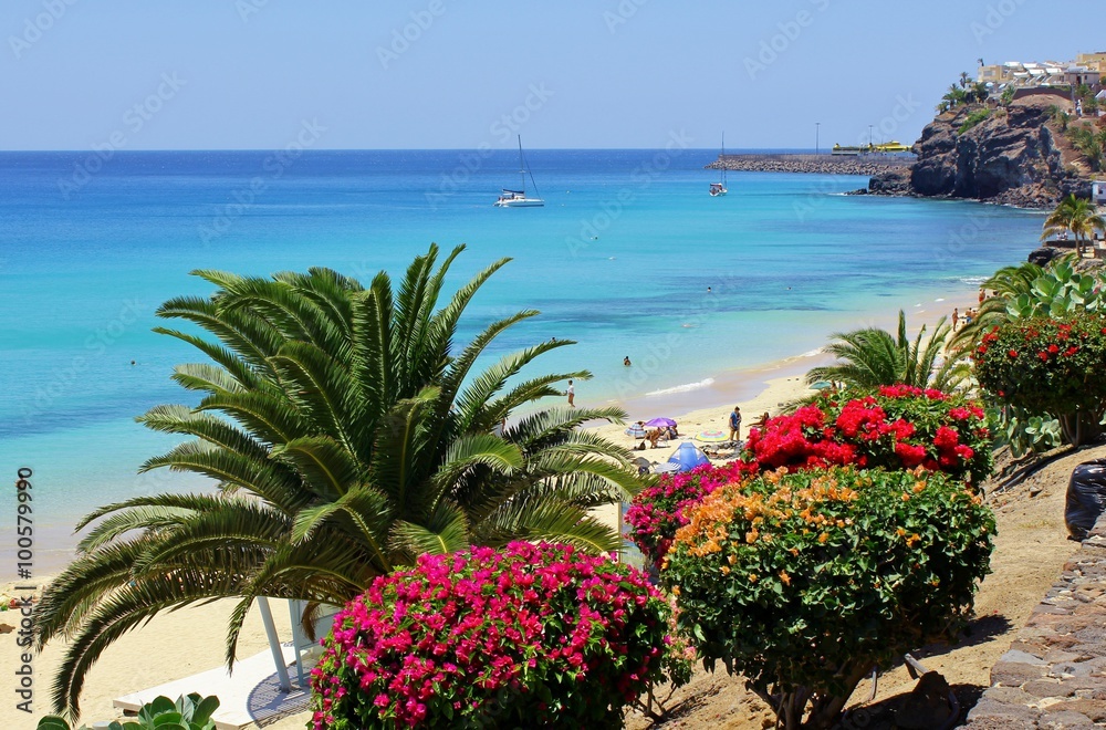 Morro Jable beach promenade with blooming bougainvillea, Fuerteventura, Canarian Islands, Spain