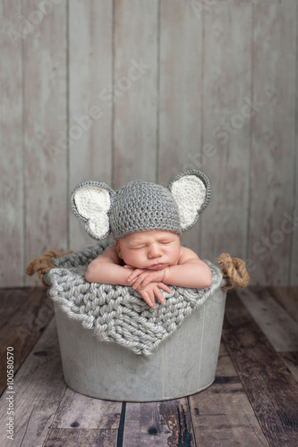 Newborn Baby Boy in an Elephant Costume