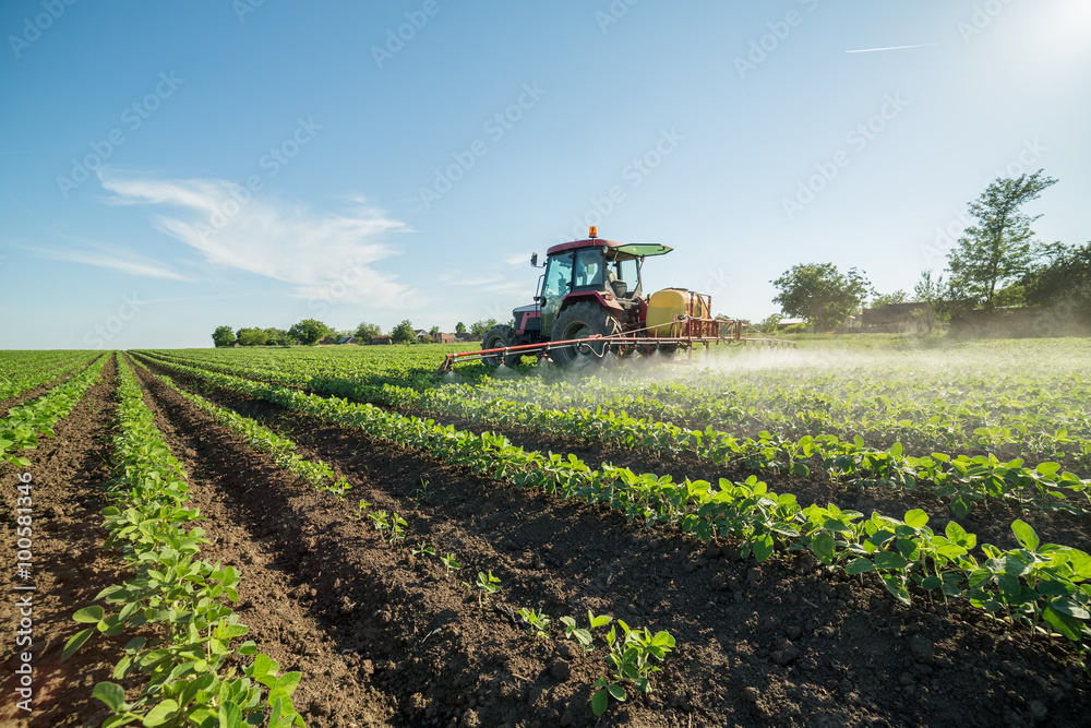 Obraz premium Farmer spraying soybean field with pesticides and herbicides