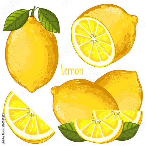 Lemon Isolated, Vector.