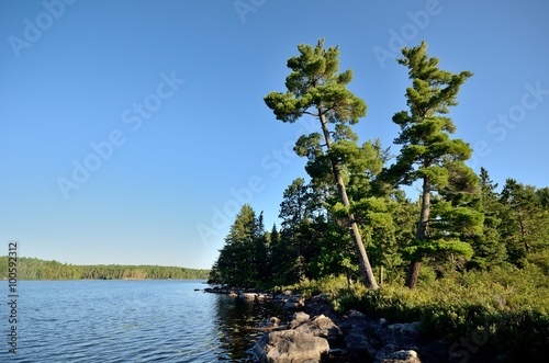 Scenic Wilderness Lake photo
