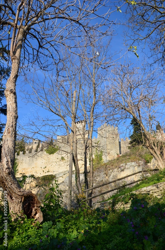Château de Saint Martin 