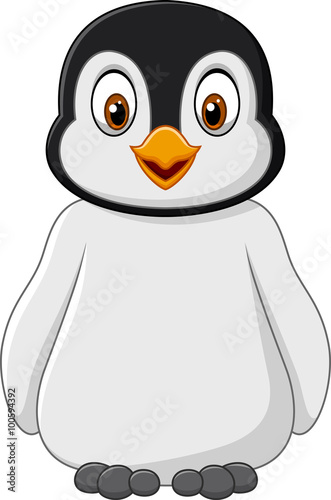 Cute baby penguin posing isolated on white background