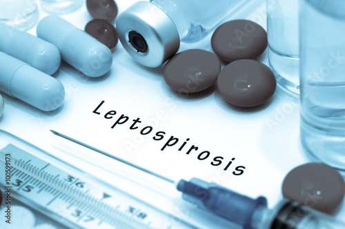 leptospirosis