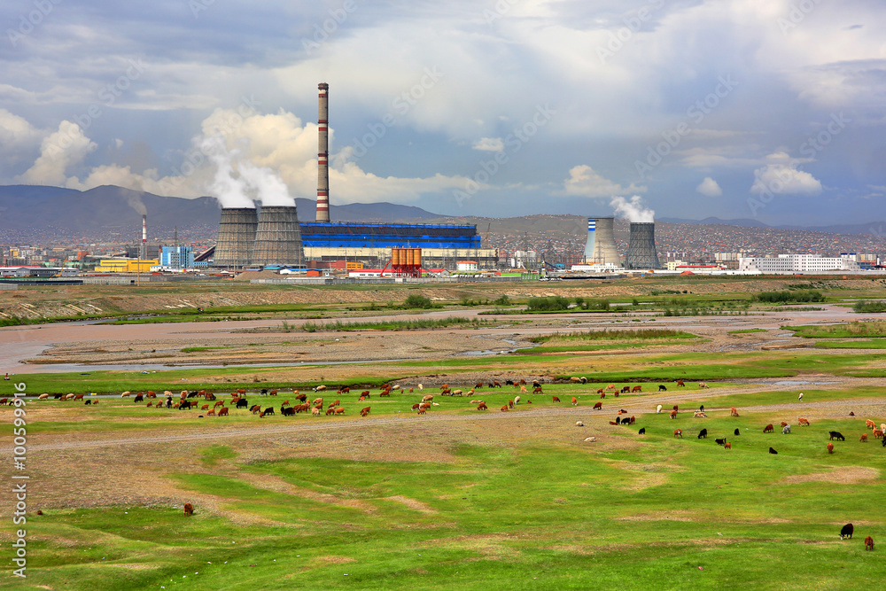 Animals grazing next to power plant Animals grazing next to power plant