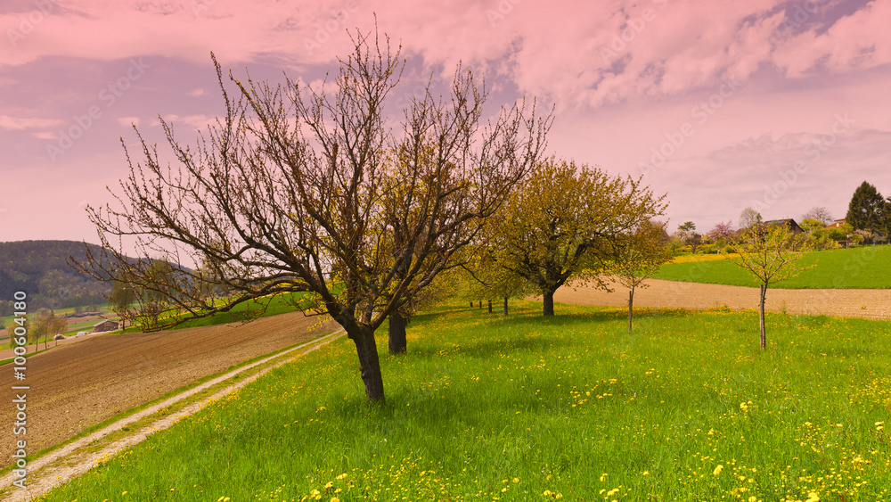 Obraz premium Pastures and Garden