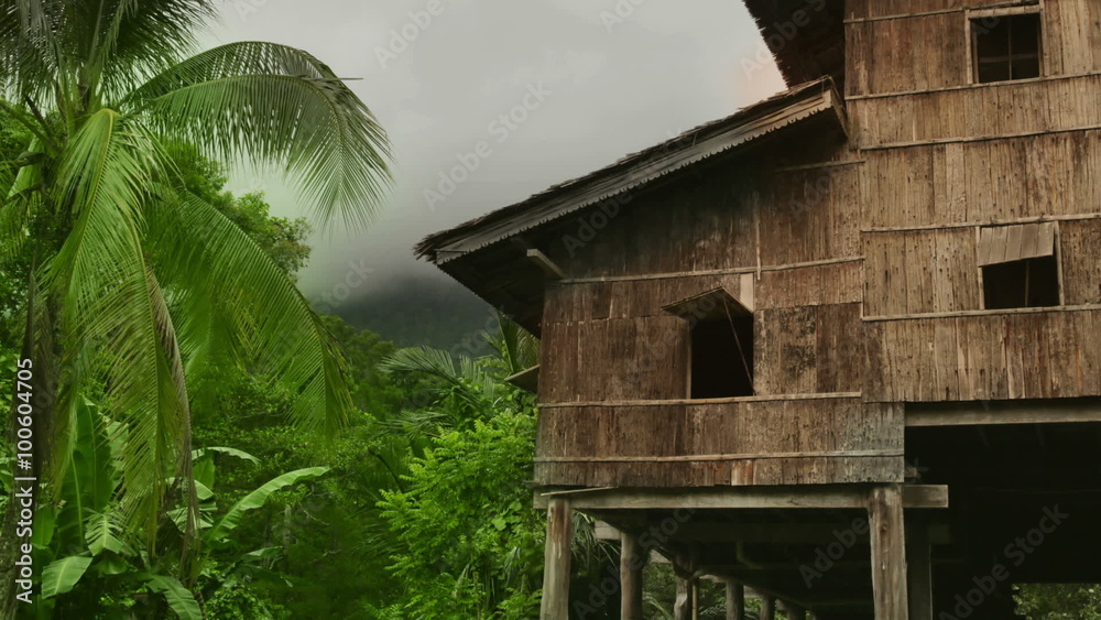 Tribal borneo houses