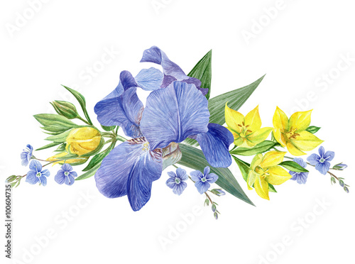 Iris Flowers composition