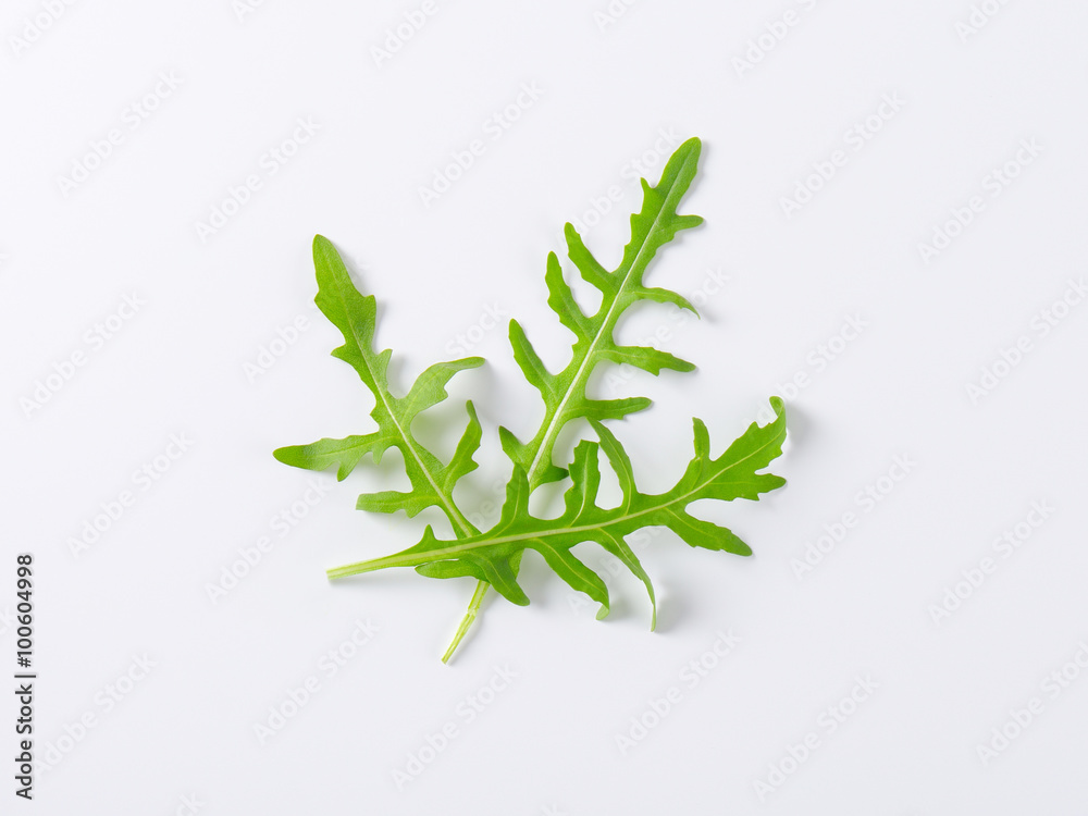 fresh arugula leaves
