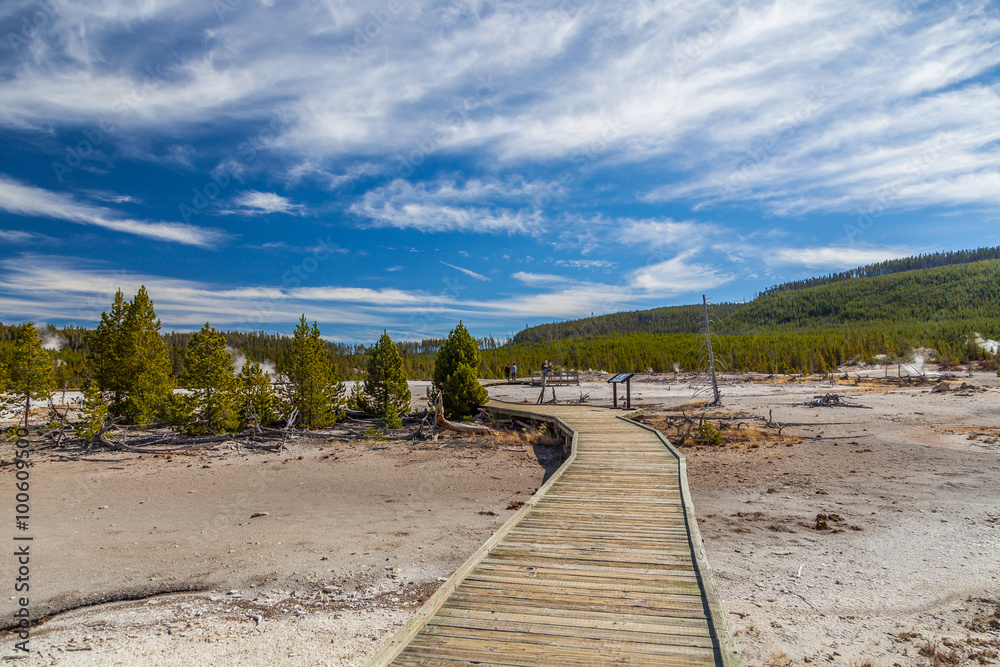 Fototapeta premium Yellowstone national park