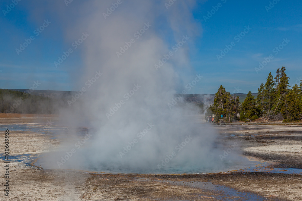 Yellowstone national park