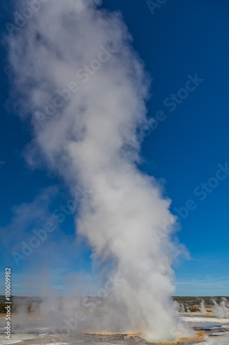 Yellowstone national park