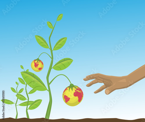 illustration of harvesting. human hund try to harvest an earth fruit of some plants.beautiful view of landscape with blue sky.
