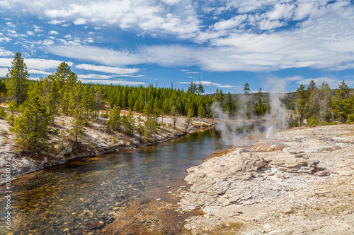 Yellowstone national park