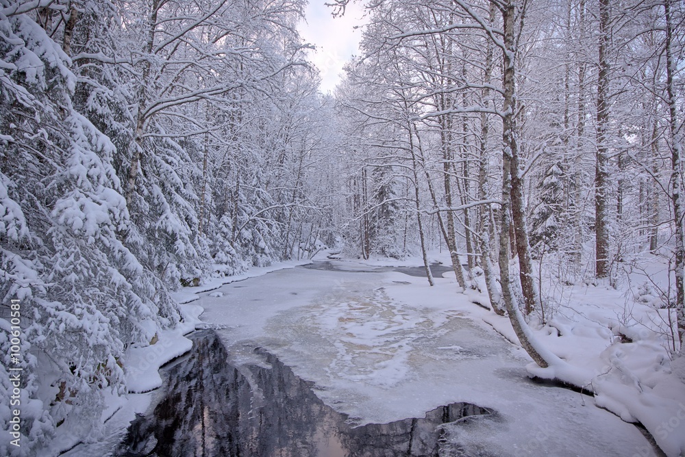 Frozen stream in forest Frozen stream in forest