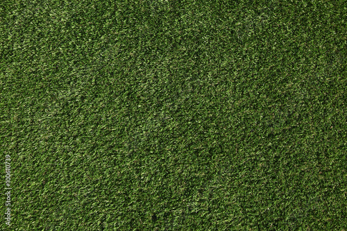 Perfect lawn with green grass view from above